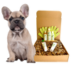Premium Pet Guardian Gear: 4-FURRY DOGS *REGULAR GROOMING KIT - Sanctum Paws and Fangs