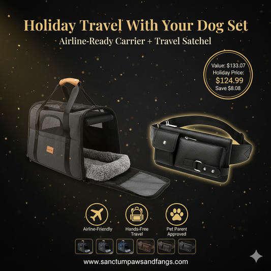 Holiday Travel with Your Dog Set
