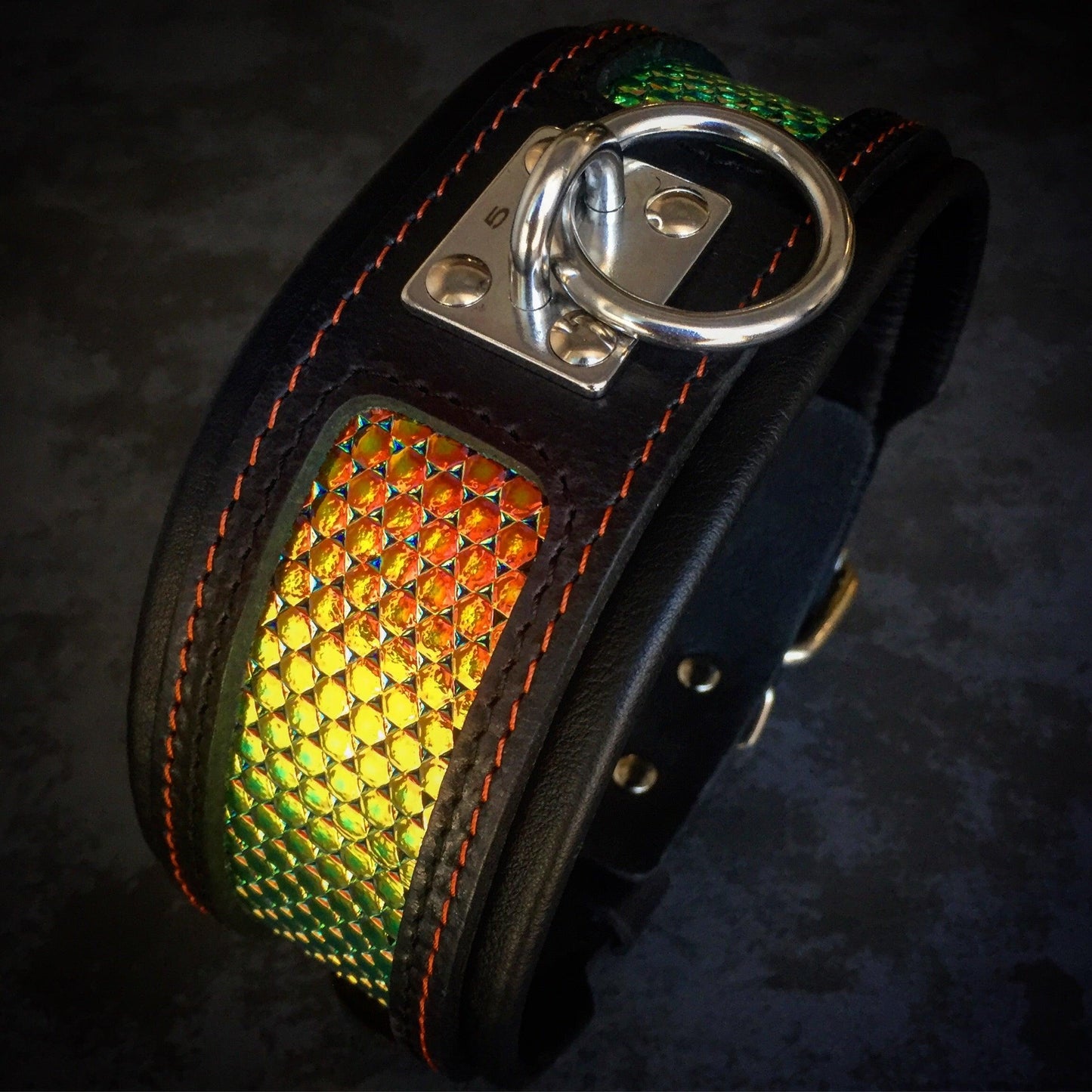 Premium Pet Guardian Gear: The ''D`Albertis'' collar - Sanctum Paws and Fangs