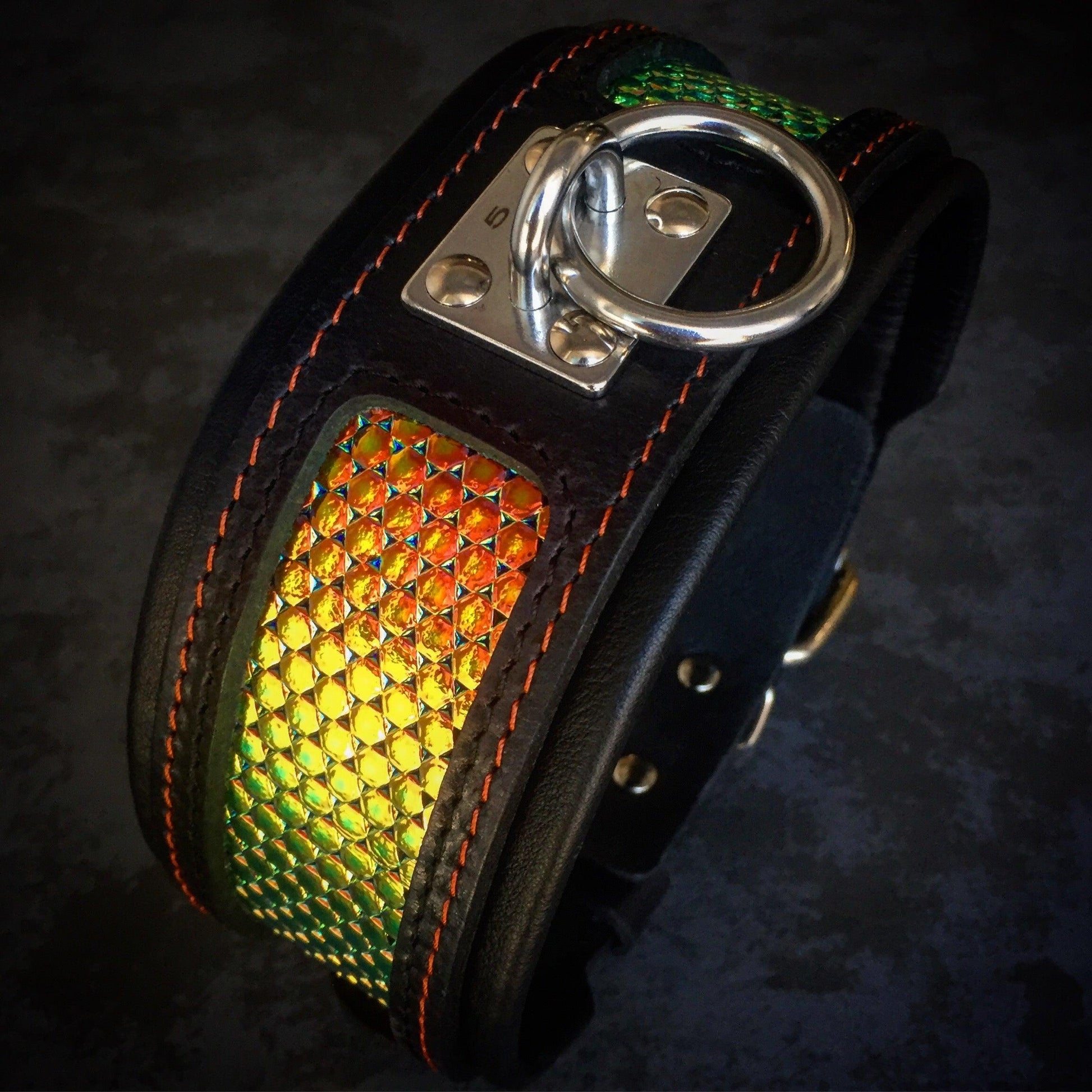 Premium Pet Guardian Gear: The ''D`Albertis'' collar - Sanctum Paws and Fangs