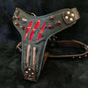 Premium Pet Guardian Gear: The ''Haunted'' harness LIMITED - Sanctum Paws and Fangs