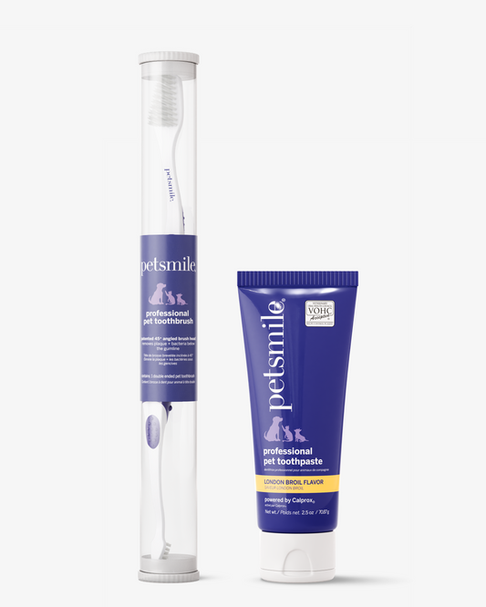 Professional Toothpaste London Broil Small & Professional Pet Toothbrush