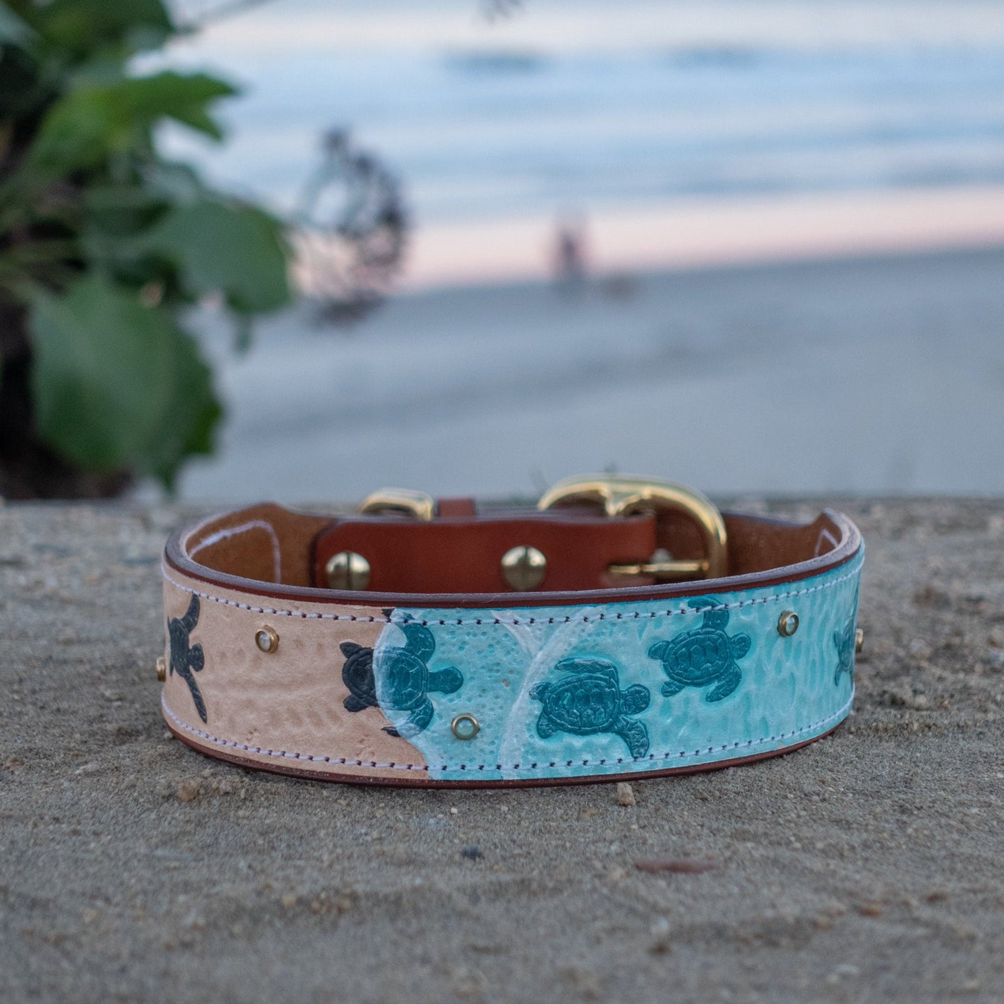Baby Sea Turtles - Leather Dog Collar