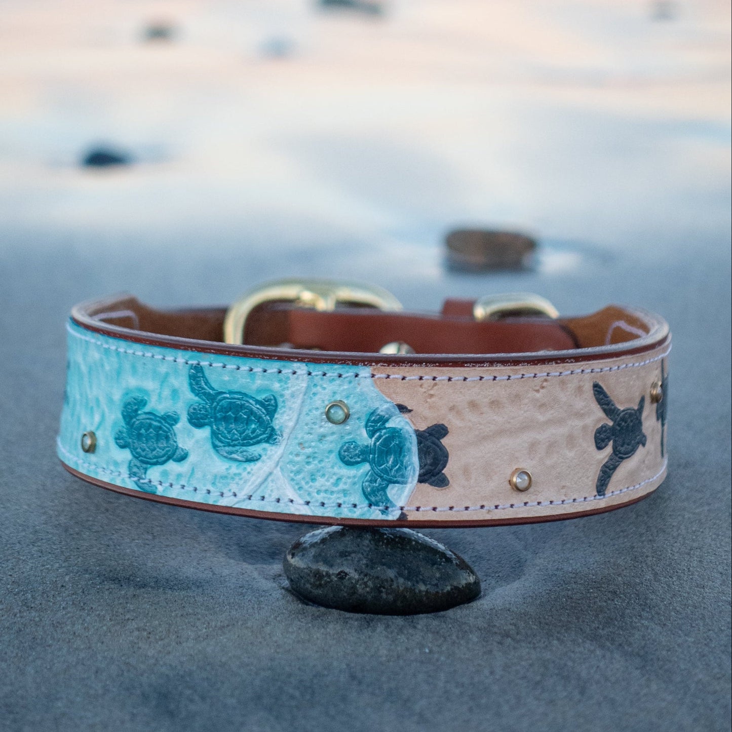 Baby Sea Turtles - Leather Dog Collar