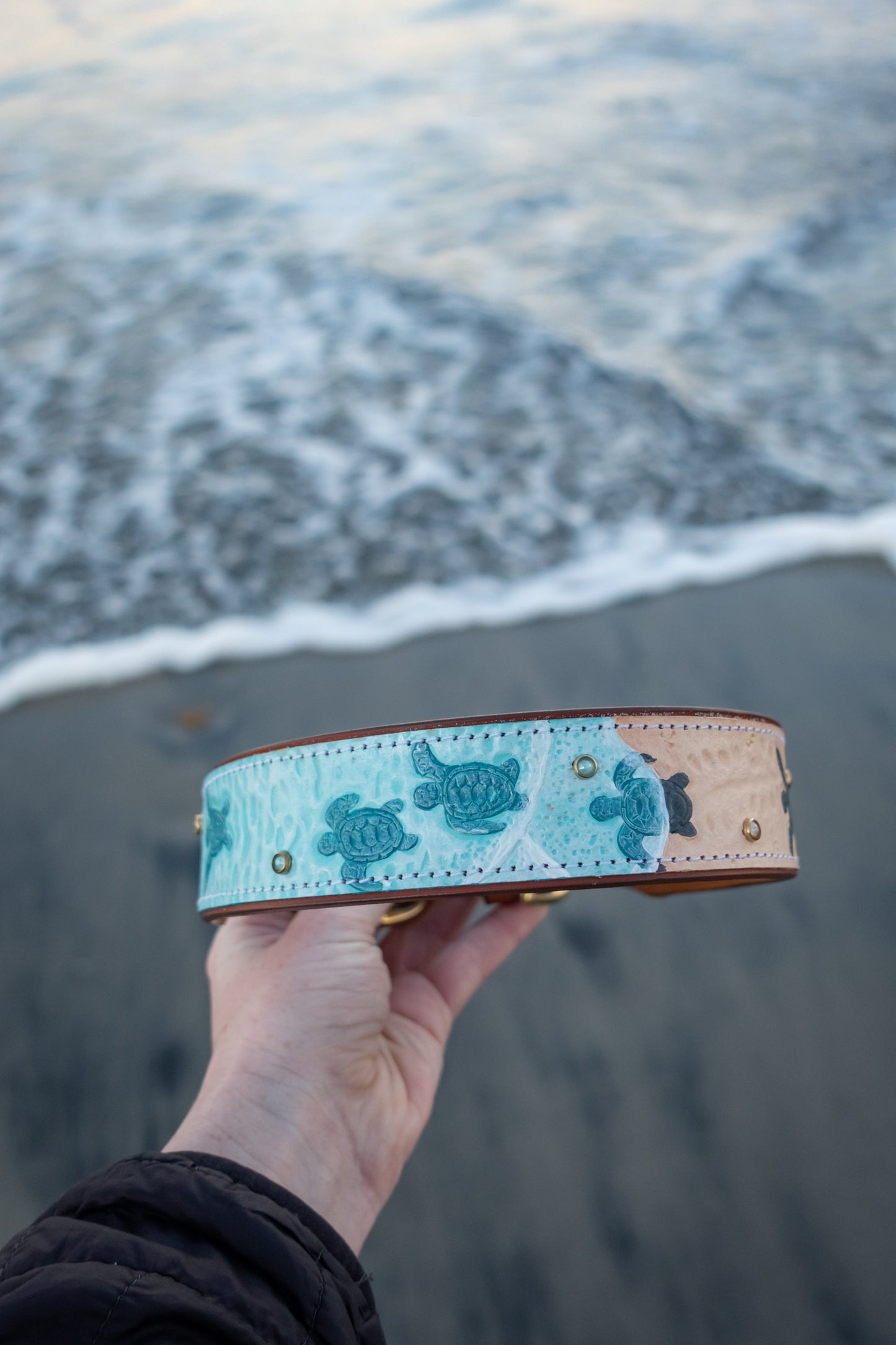 Baby Sea Turtles - Leather Dog Collar