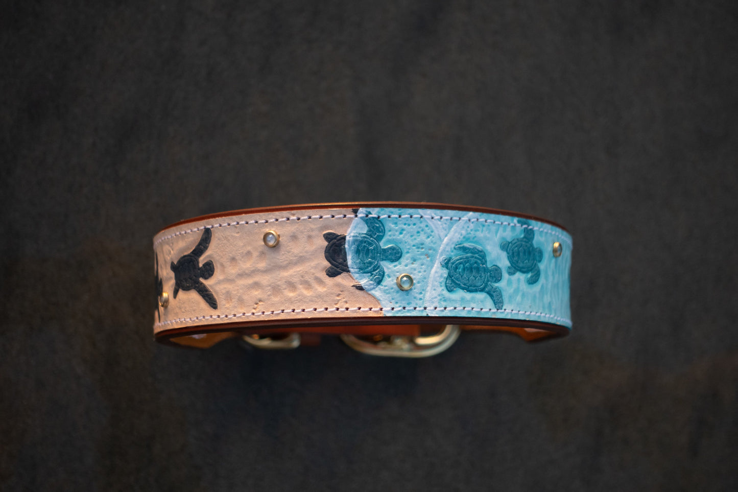 Baby Sea Turtles - Leather Dog Collar