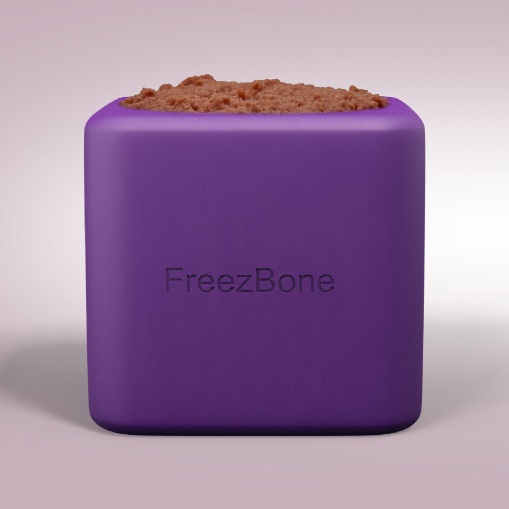 Freezbox - Super Tough Treat Toy