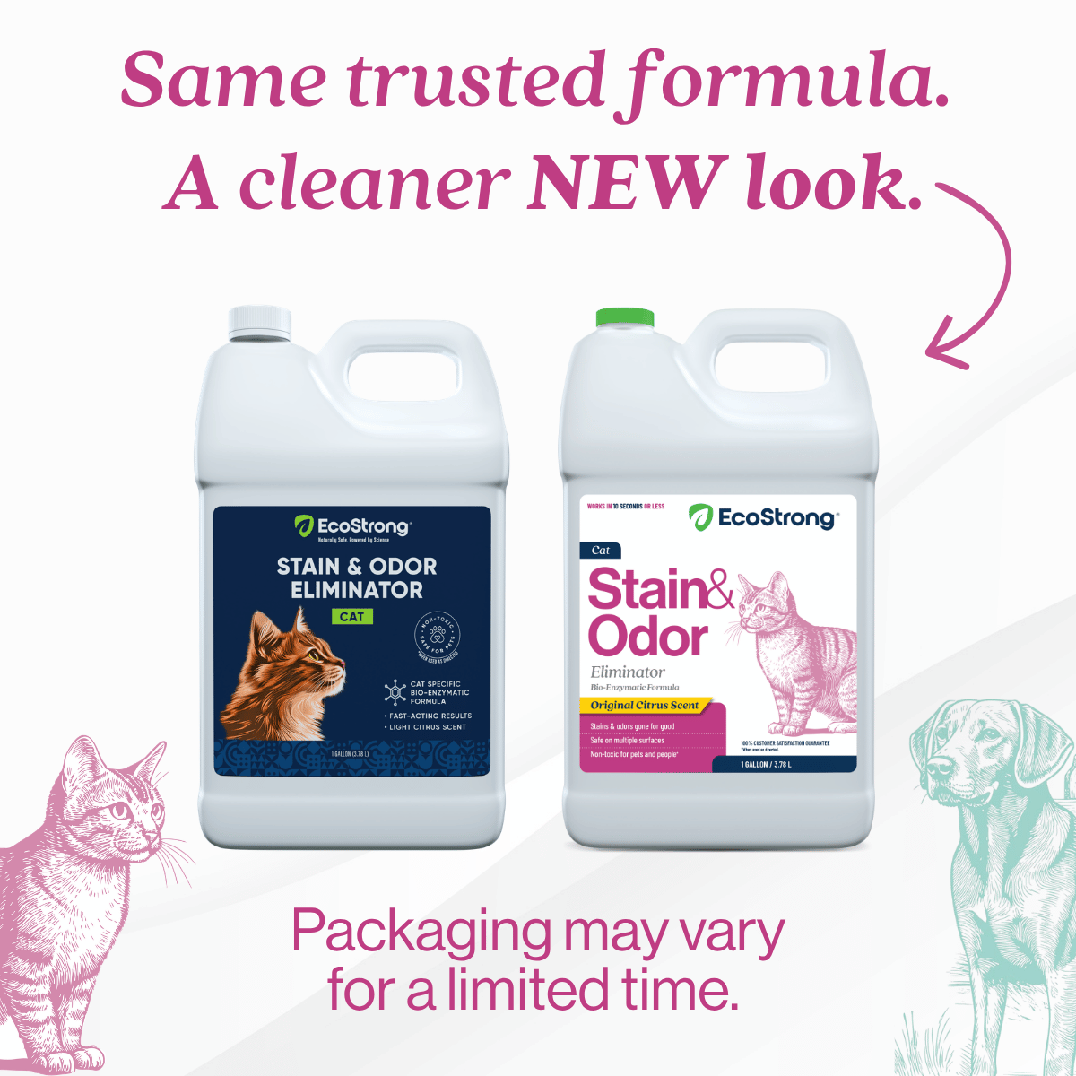 Cat Stain and Odor Eliminator