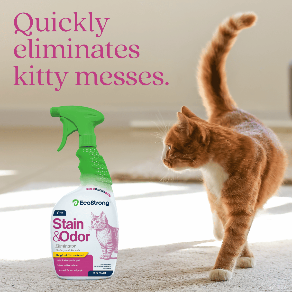 Cat Stain and Odor Eliminator