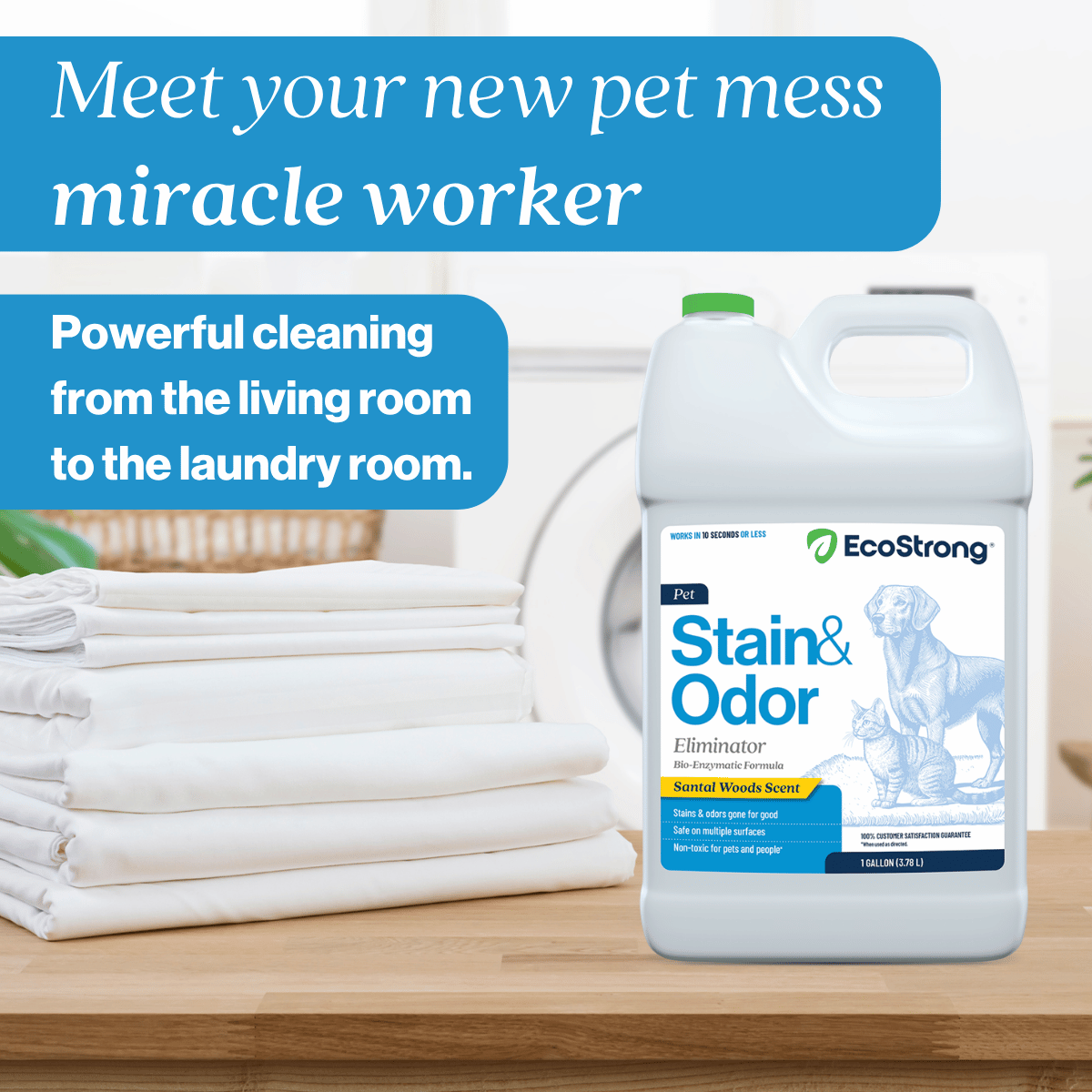 Pet Stain and Odor Eliminator
