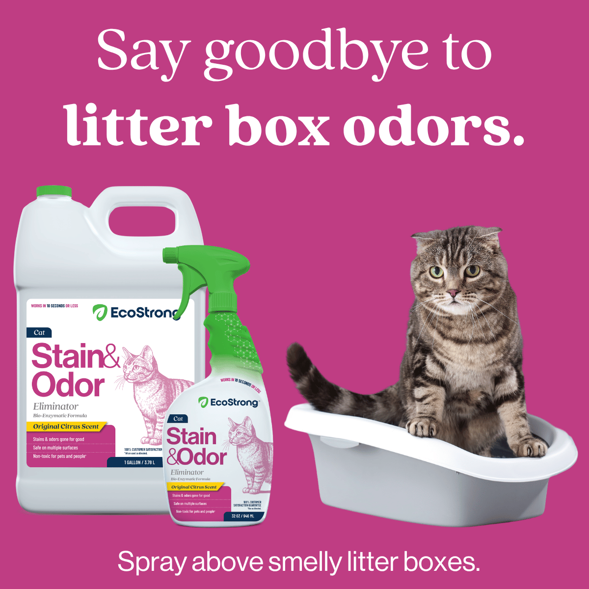 Cat Stain and Odor Eliminator