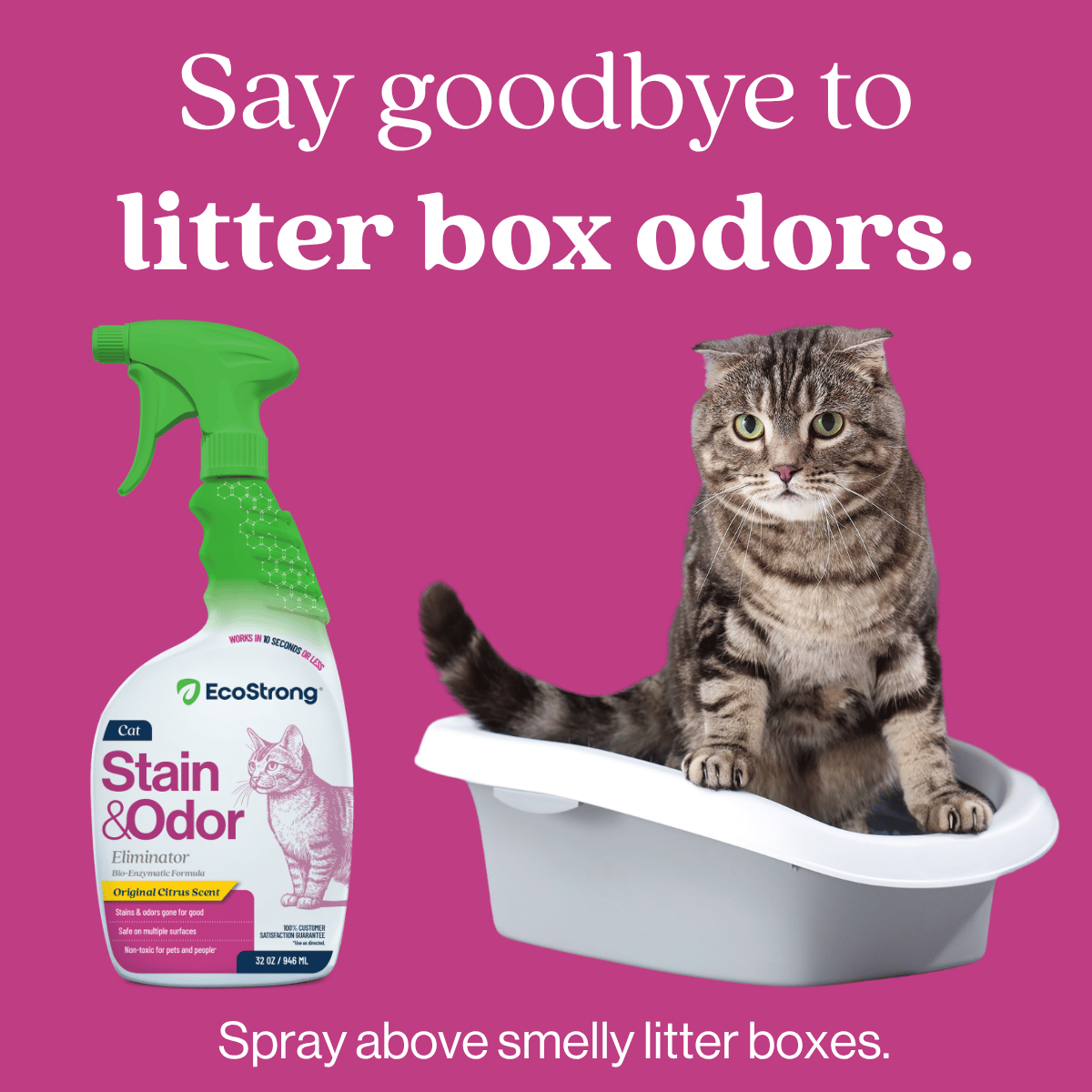 Cat Stain and Odor Eliminator