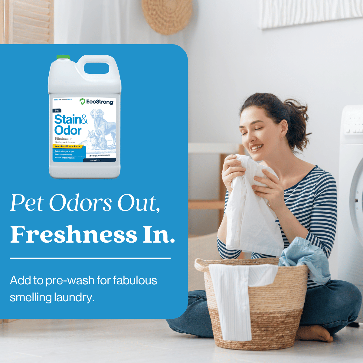 Pet Stain and Odor Eliminator