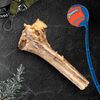 Large Ostrich Cane (11.5" x 5"): The Ultimate Long-Lasting Chew for Medium, Large & XL Dogs