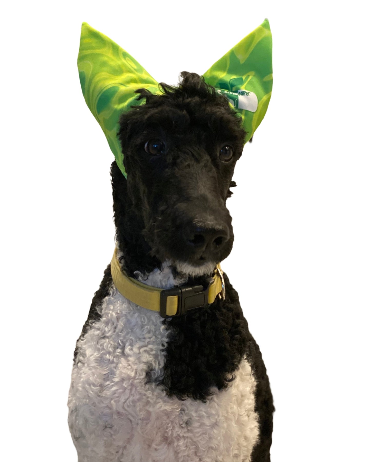 4-ALL PETS SHOWER / EAR / SUN CAP!