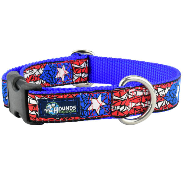 Premium Pet Guardian Gear: 1″ Puerto Rico Essential Martingale Dog Collar - Sanctum Paws and Fangs
