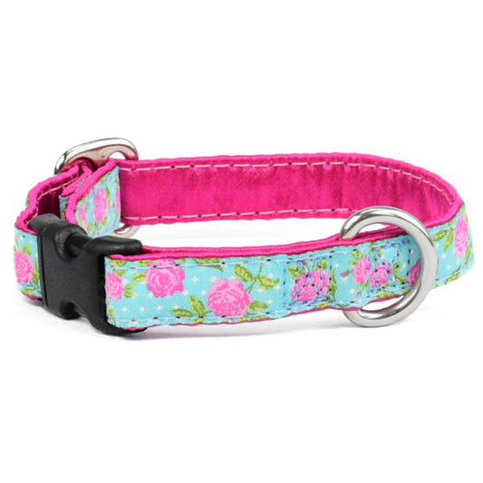 Premium Pet Guardian Gear: 5/8″ Rosy Dots Aqua Dog Collar - Sanctum Paws and Fangs