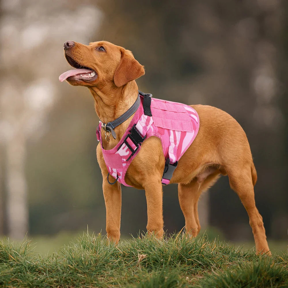 Pink Military Dog Harness And Leash Set Adjustable Pet Tactical Training Vest German Shepherd Malinois For Medium Large Dogs