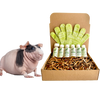 4-HAIRLESS PETS *SKINNYPIG REGULAR KIT