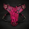 Premium Pet Guardian Gear: The ''Rock Python'' harness Small to Medium Size - Sanctum Paws and Fangs