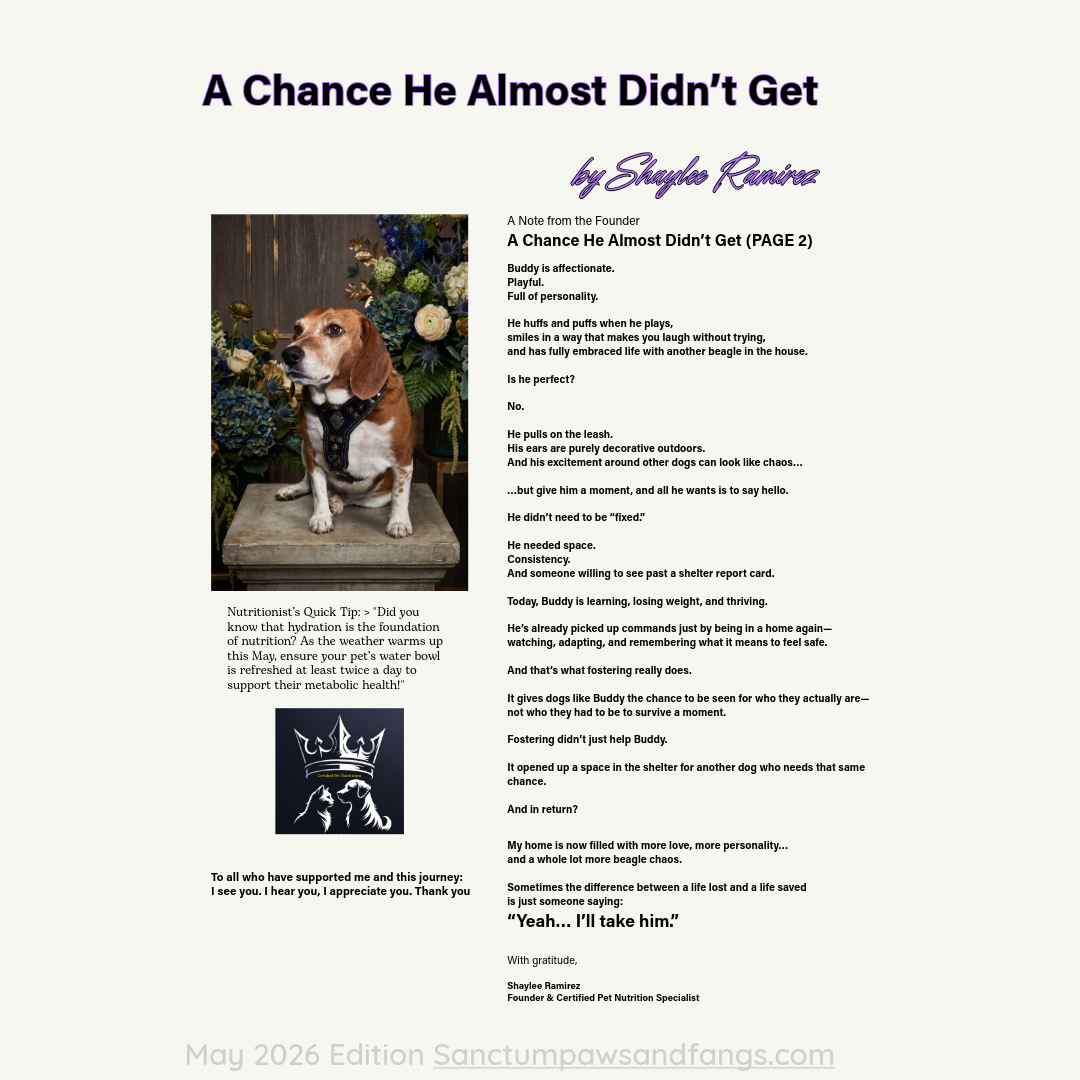 MAY 2026 SANCTUM PRINTABLE MAGAZINE