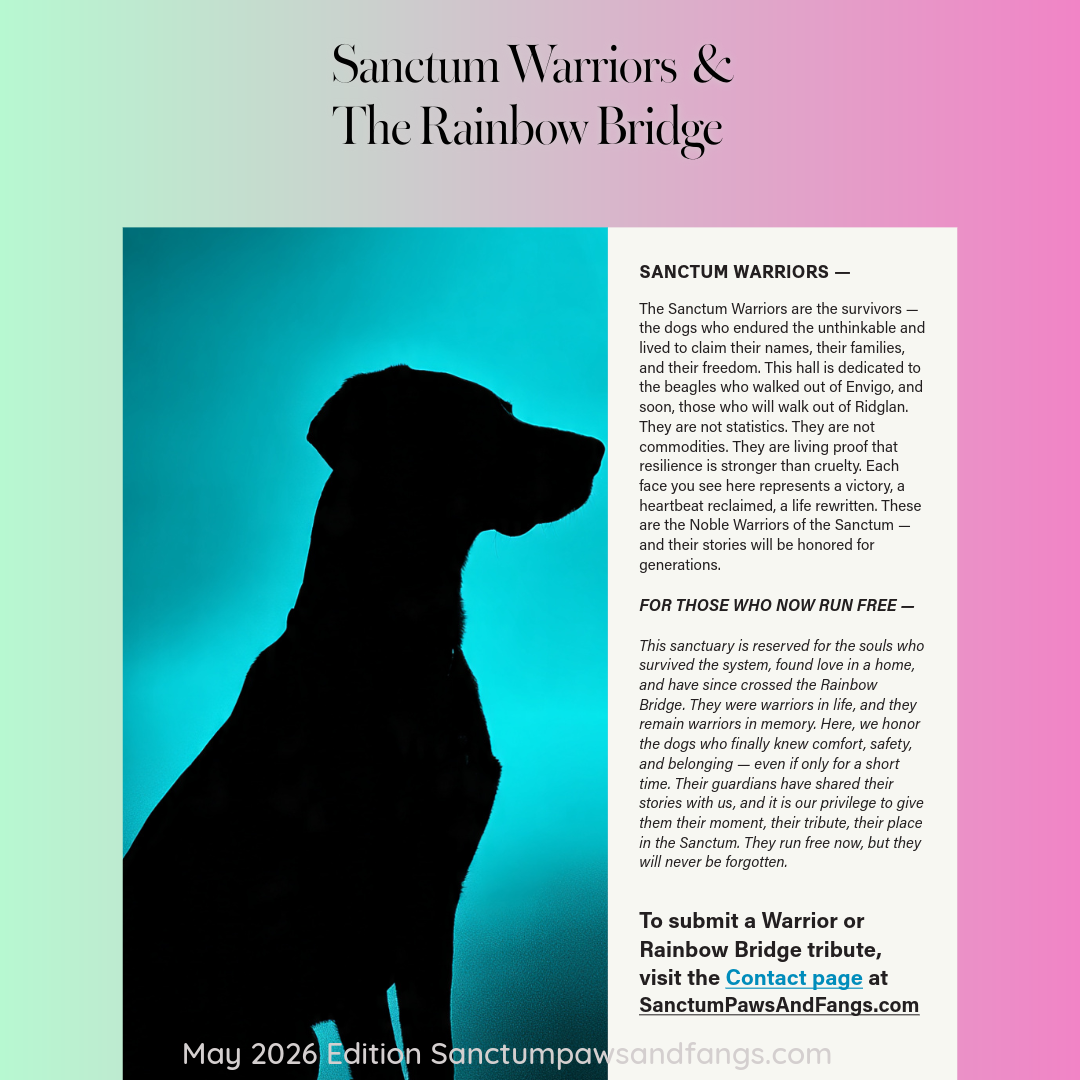 MAY 2026 SANCTUM PRINTABLE MAGAZINE