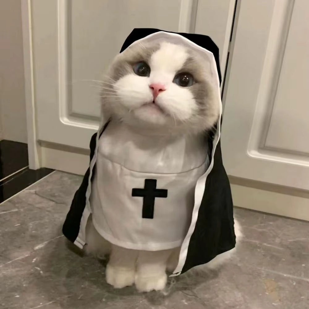 Transform your furry friend into a heavenly cutie with our Nun Style Pet Costume Set! Perfect for Halloween dress-up! 🐾👗✨