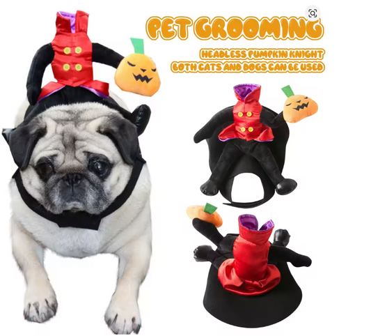 Get Your Furry Friends Festive with Hilarious Cat & Dog Costumes for Halloween & Christmas 2024! 🐾🎉
