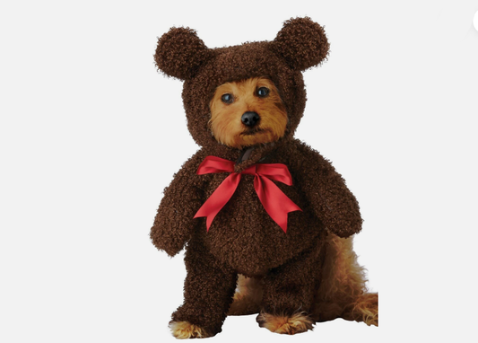Adorable Sweet Teddy Bear Costume for Your Furry Friend! 🐶✨
