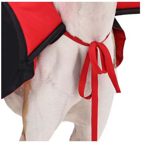 Spook-tacular Cat & Dog Vampire Costumes for Halloween Fun! 🐾🎃 Perfect for Parties & Photo Ops!