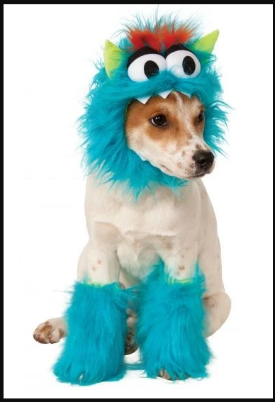 Transform your furry friend into a lovable Blue Monster with this adorable pet costume! 🐾💙👻 #PetCostume #HalloweenFun