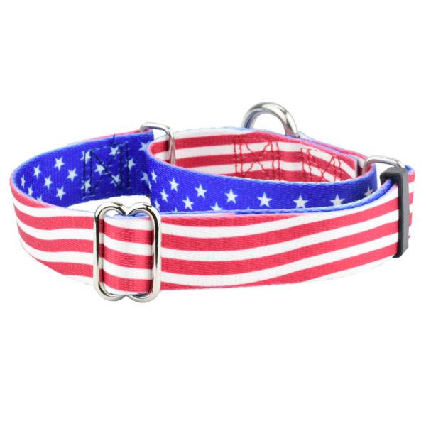 Star Spangled Martingale Dog Collar  EarthStyle