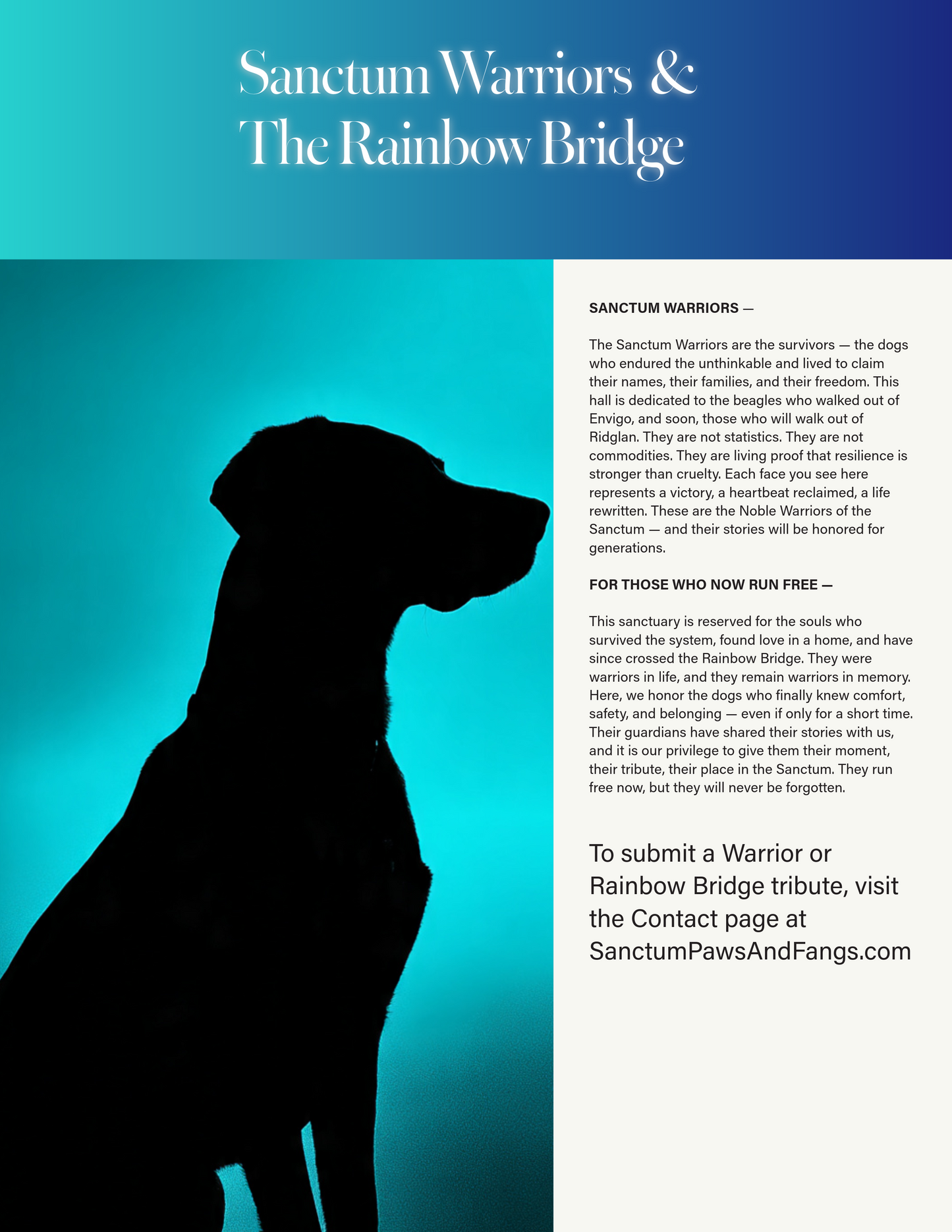 FEB 2026 DIGITAL MAGAZINE