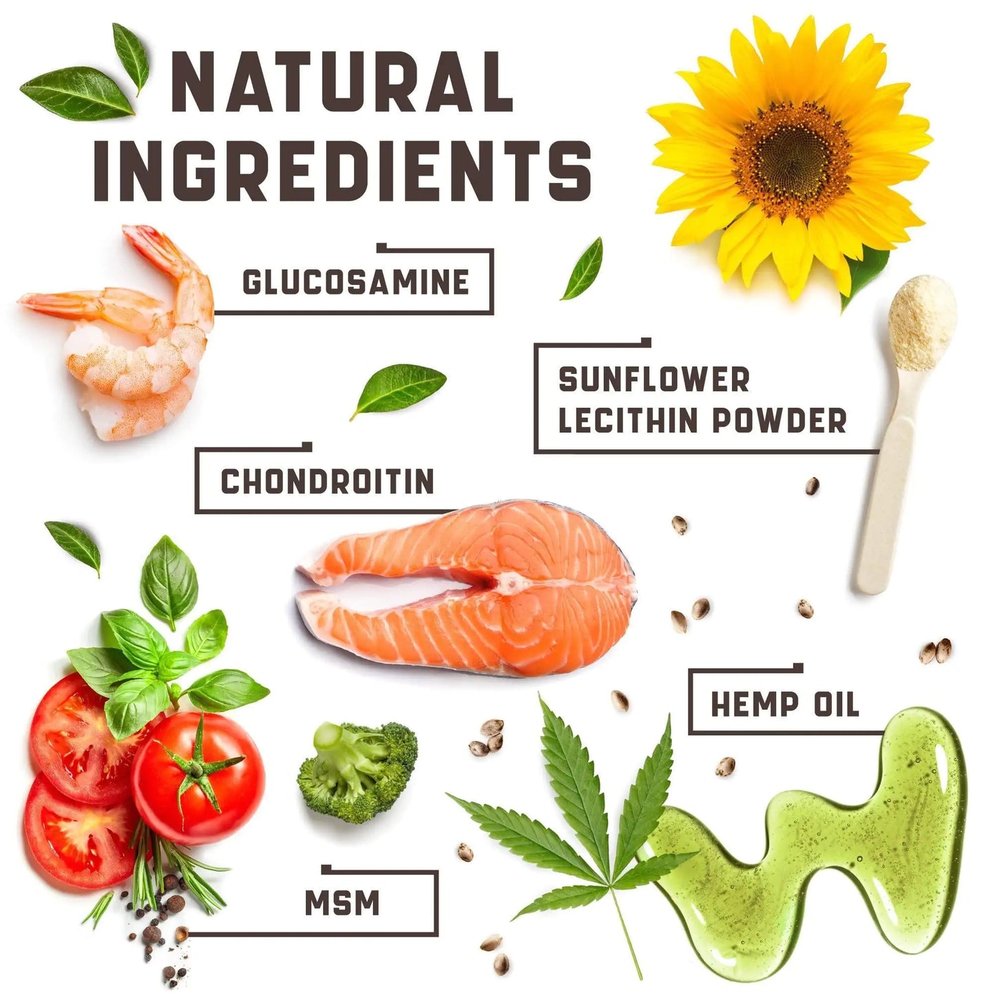 JointCare Plus Dog Supplement with Hemp & MSM