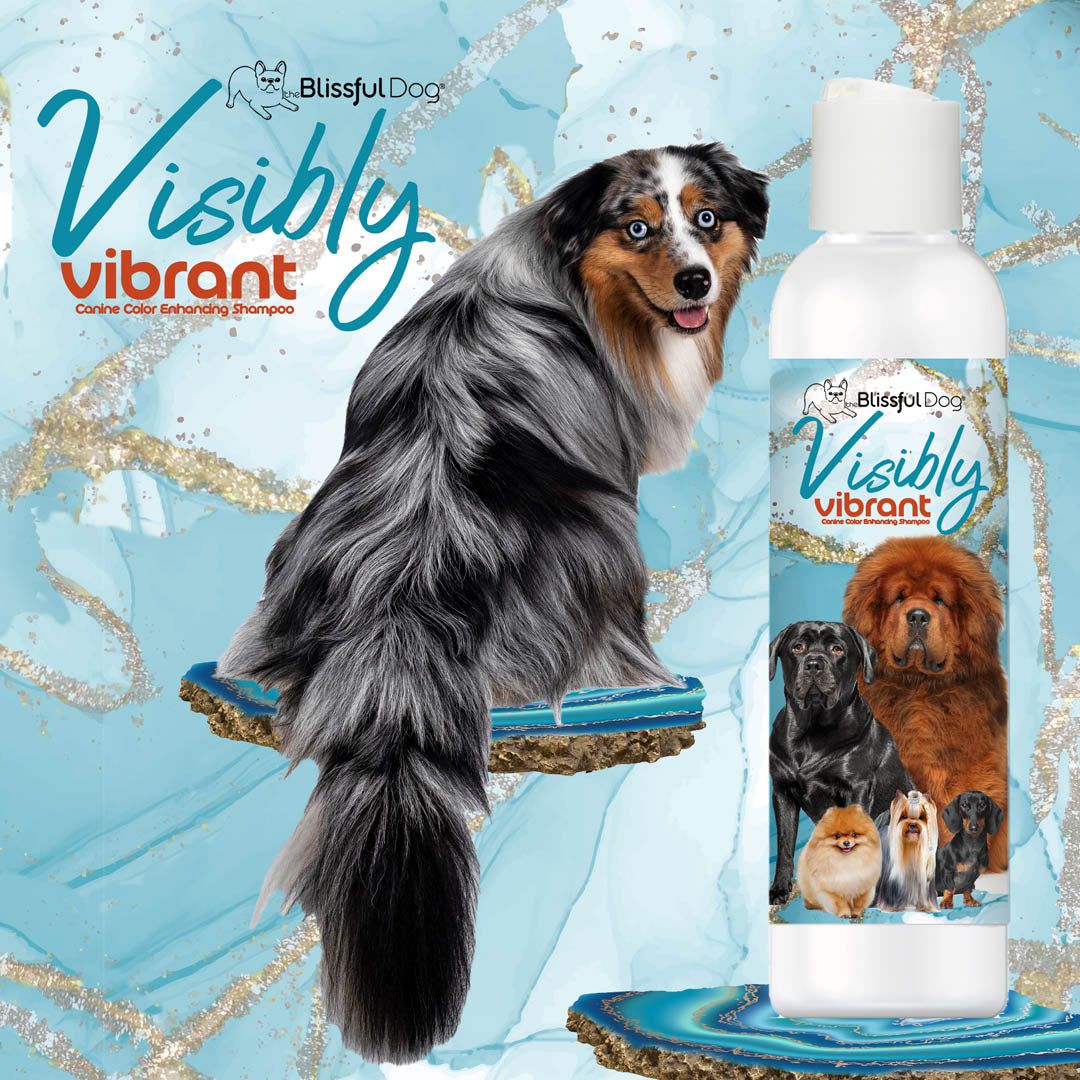 Visibly Vibrant Pet Shampoo