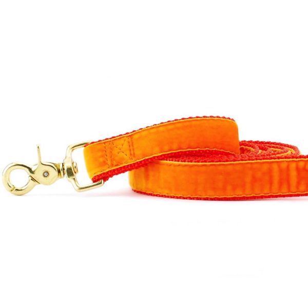 Premium Pet Guardian Gear: Orange Velvet Dog Leash (1″ Only) - Sanctum Paws and Fangs
