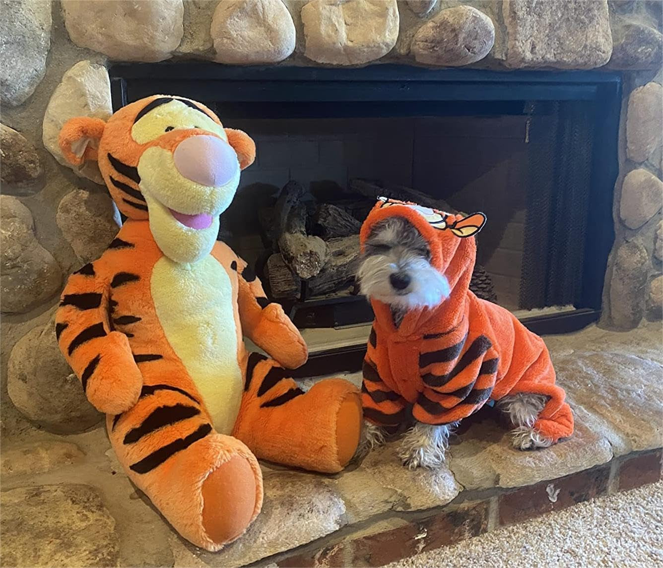 Get Your Pup Roaring with Our Adorable Tiger Halloween Costumes! Perfect for Photos, Parties, and Holiday Fun! 🐾🎃