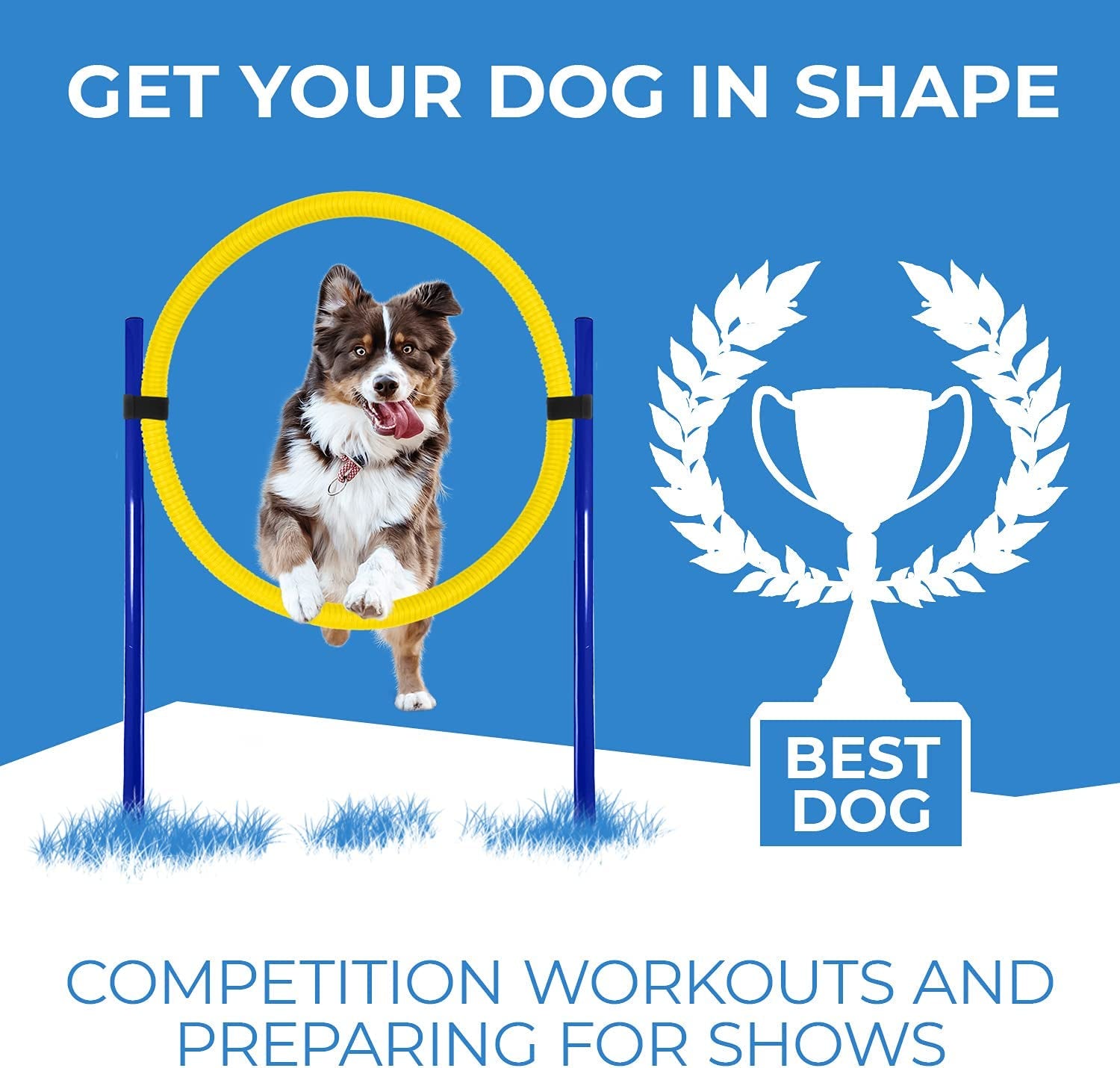 Ultimate Dog Agility Training Kit - Fun Obstacle Course for Active Pets (Bright Yellow)