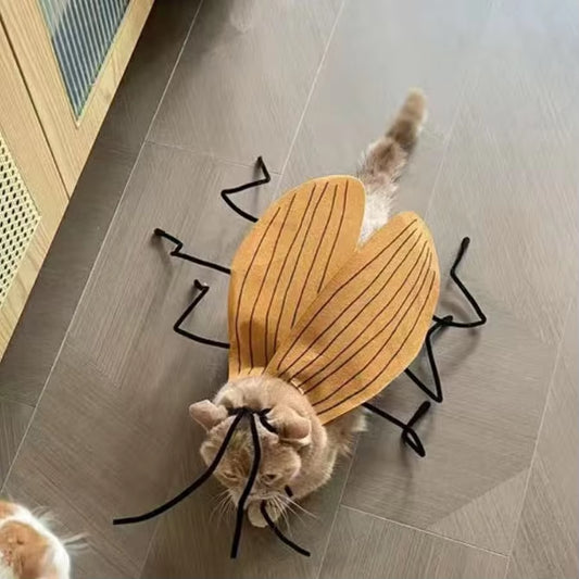 Get Your Furry Friend Ready for Halloween with This Hilarious Handmade Cockroach Costume! 🐾🎃 #PetCostume #HalloweenFun