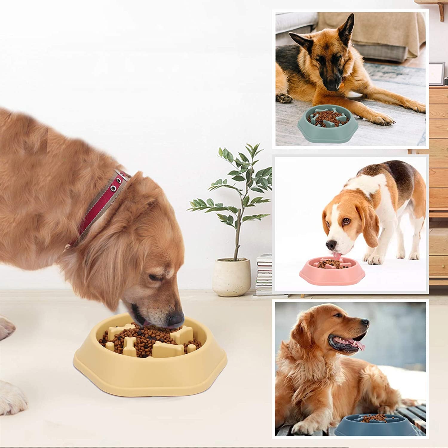 Interactive Slow Feeder Dog Bowl - Anti-Choking Puzzle Bowl for Healthy Eating, Green, 1.5 Cups/12 Oz