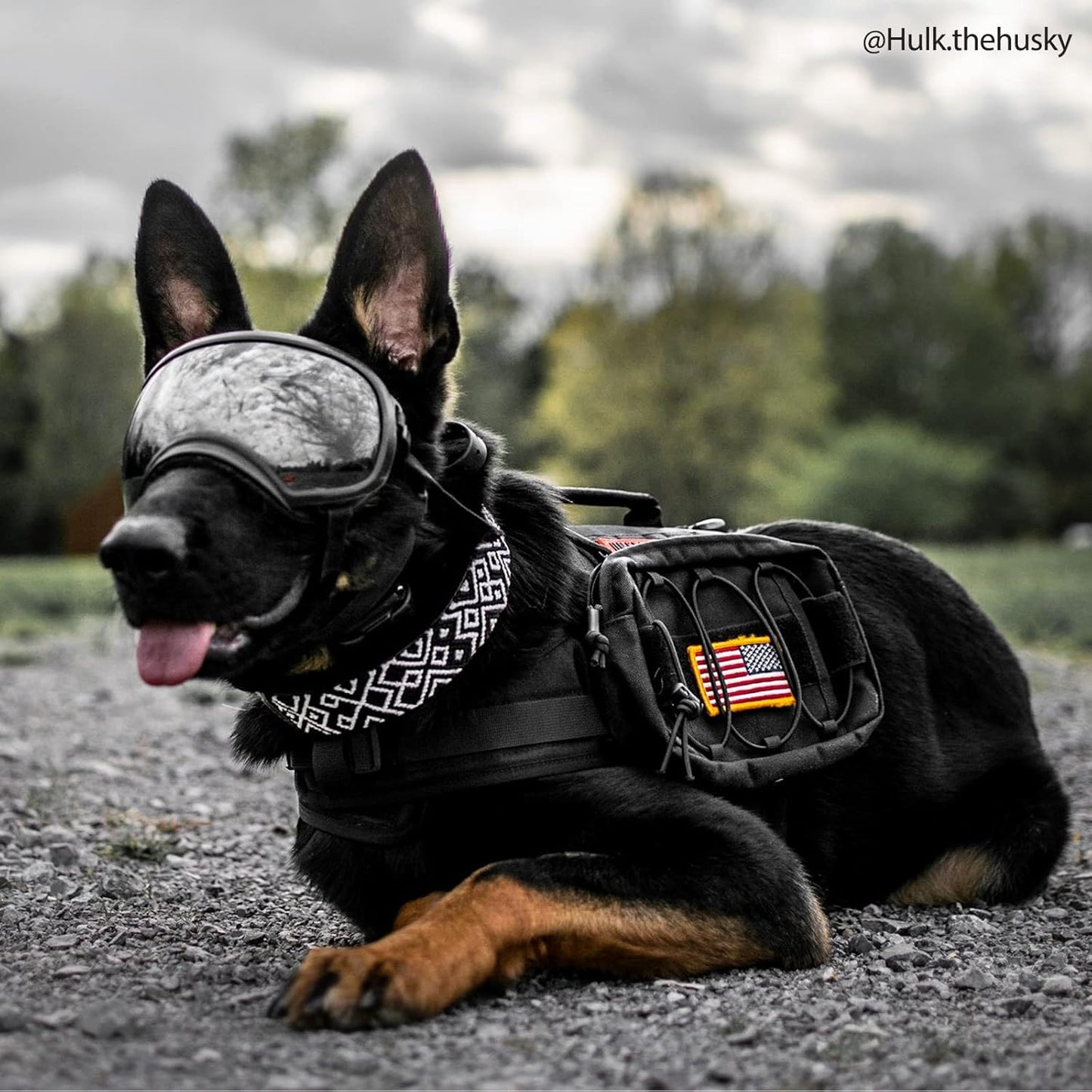Tactical Dog Backpack for Medium & Large Breeds - Durable Nylon with Side Pockets for Hiking, Walking, and Training (Black, Large)