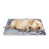 SPF Pet Cooling Mat - Flowers (White)