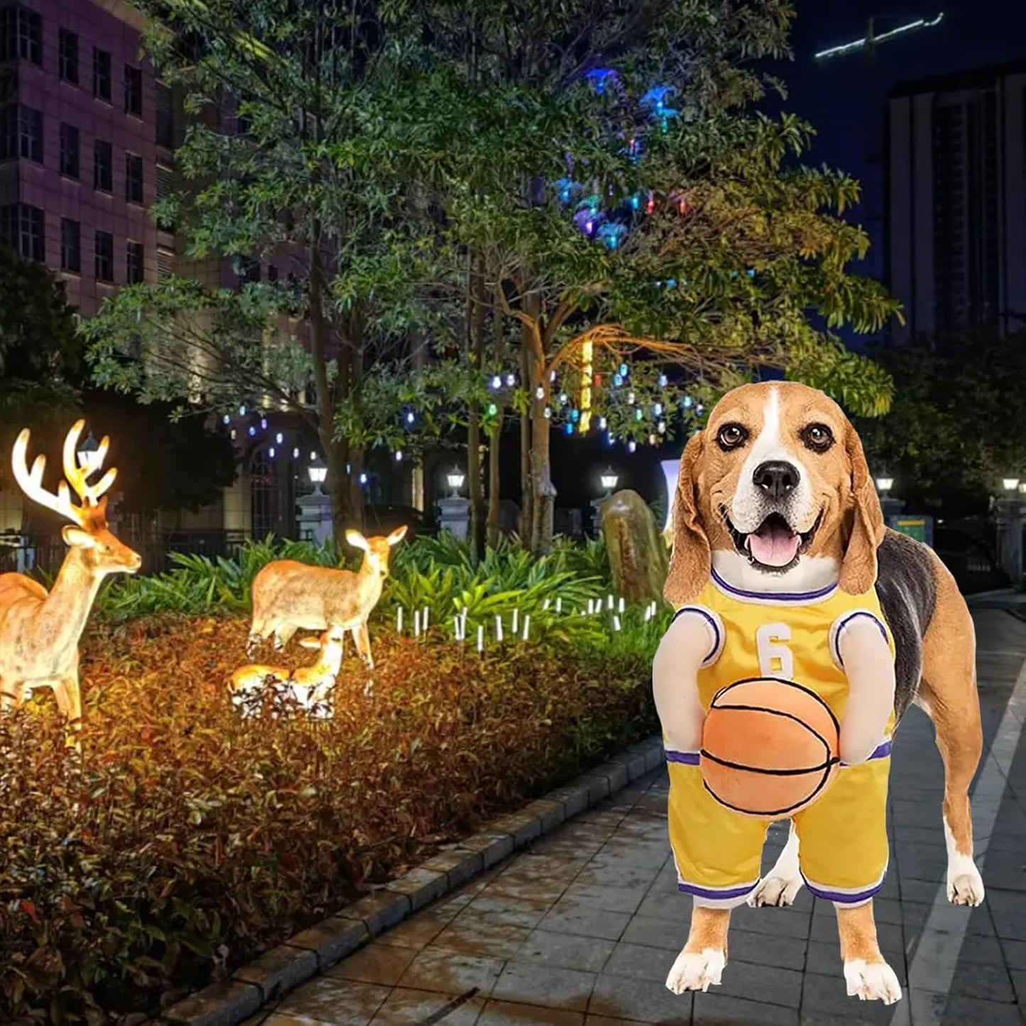 Get Your Pup in the Game with This Adorable Dog Basketball Player Costume! Perfect for Halloween and Playful Dress-Up! 🏀🐶✨