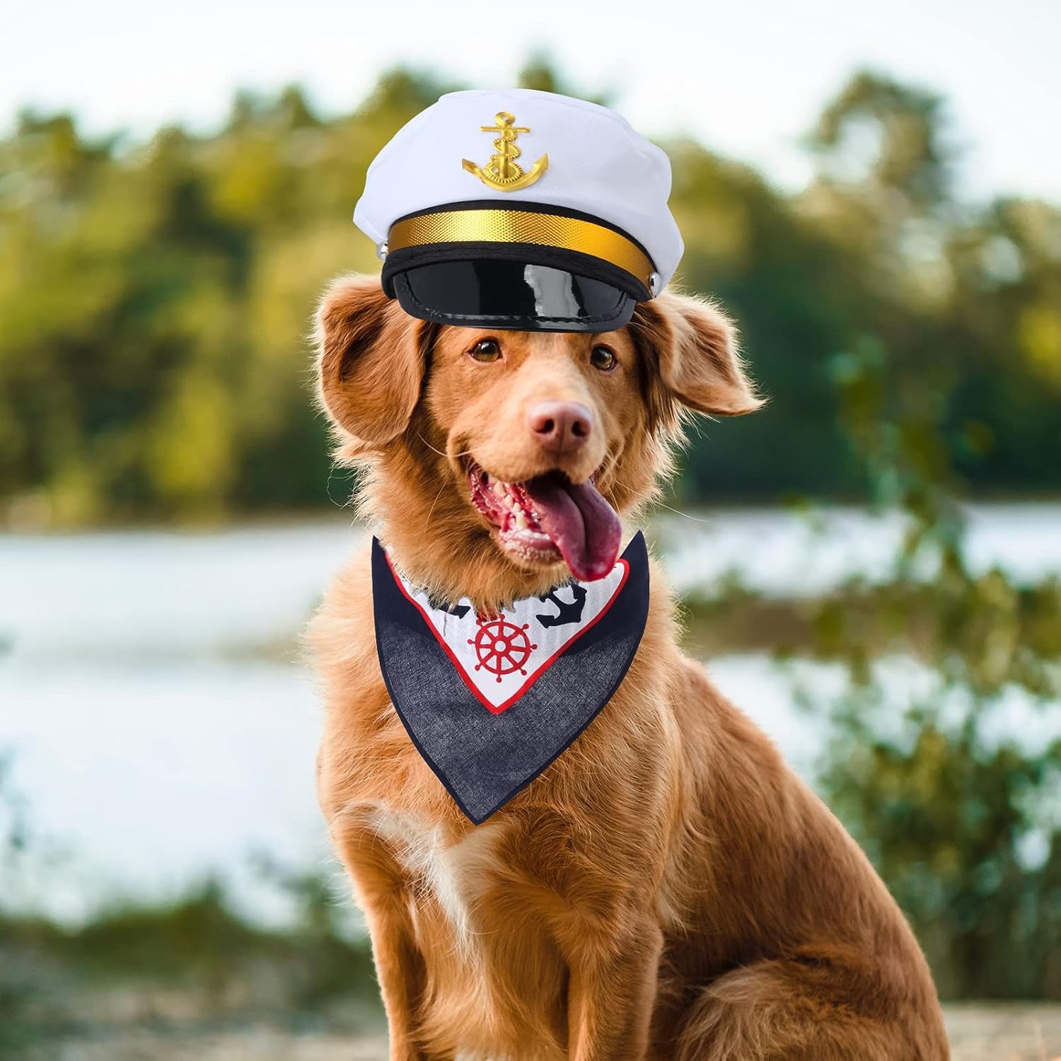 Adorable Pet Sailor Costume Set: Captain Hat & Anchor Bandana for Your Furry Friends! Perfect for Halloween & Cosplay! 🐾⚓️