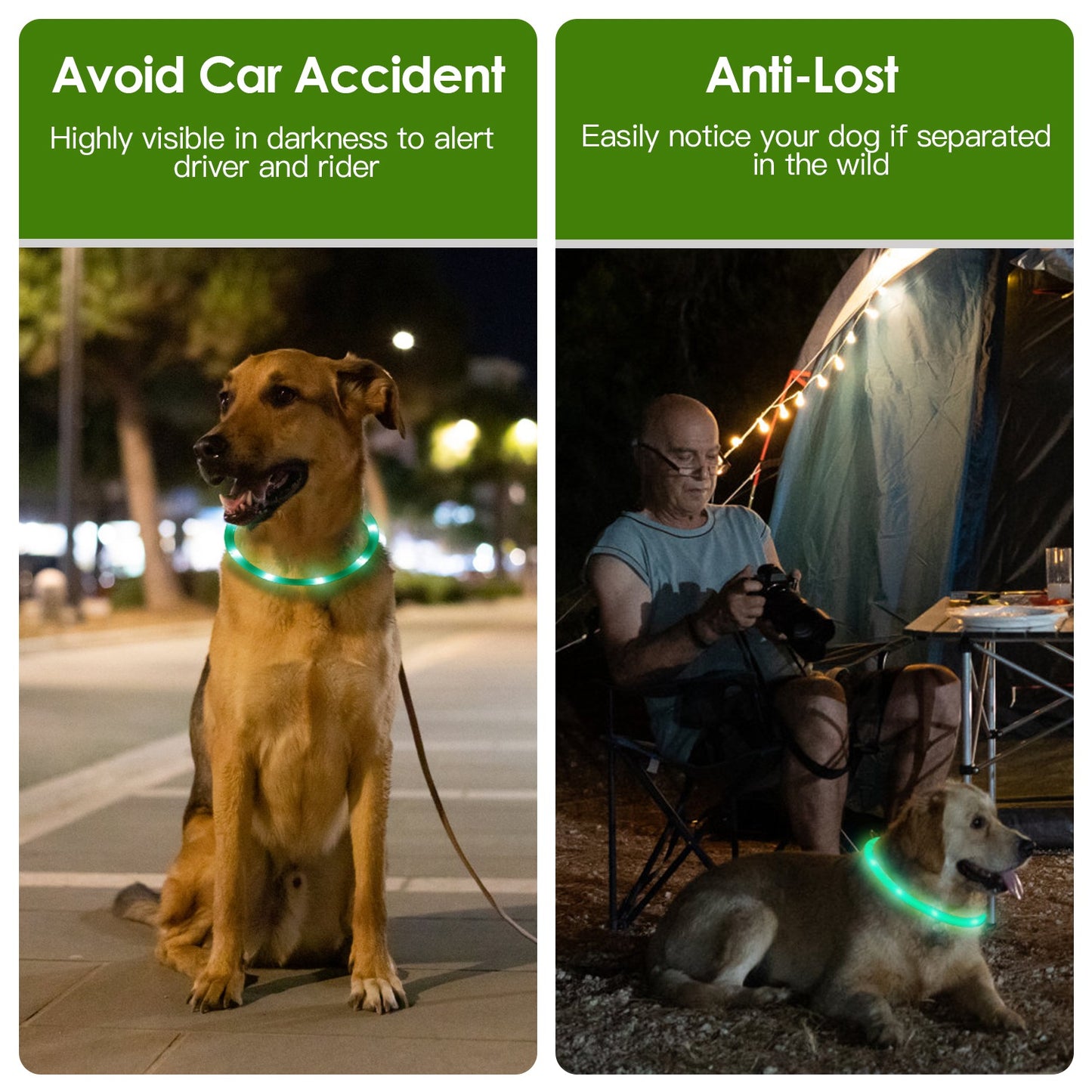 Premium Pet Guardian Gear: 1Pc USB Rechargeable LED Dog Collar Multi Color Lighting Dog Safety Collar Cuttable Length Glow Dog Collar For Small Medium Large Dog Night Walking - Sanctum Paws and Fangs