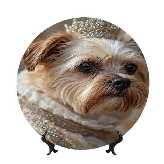 The Council of the Crowned Paw Collection