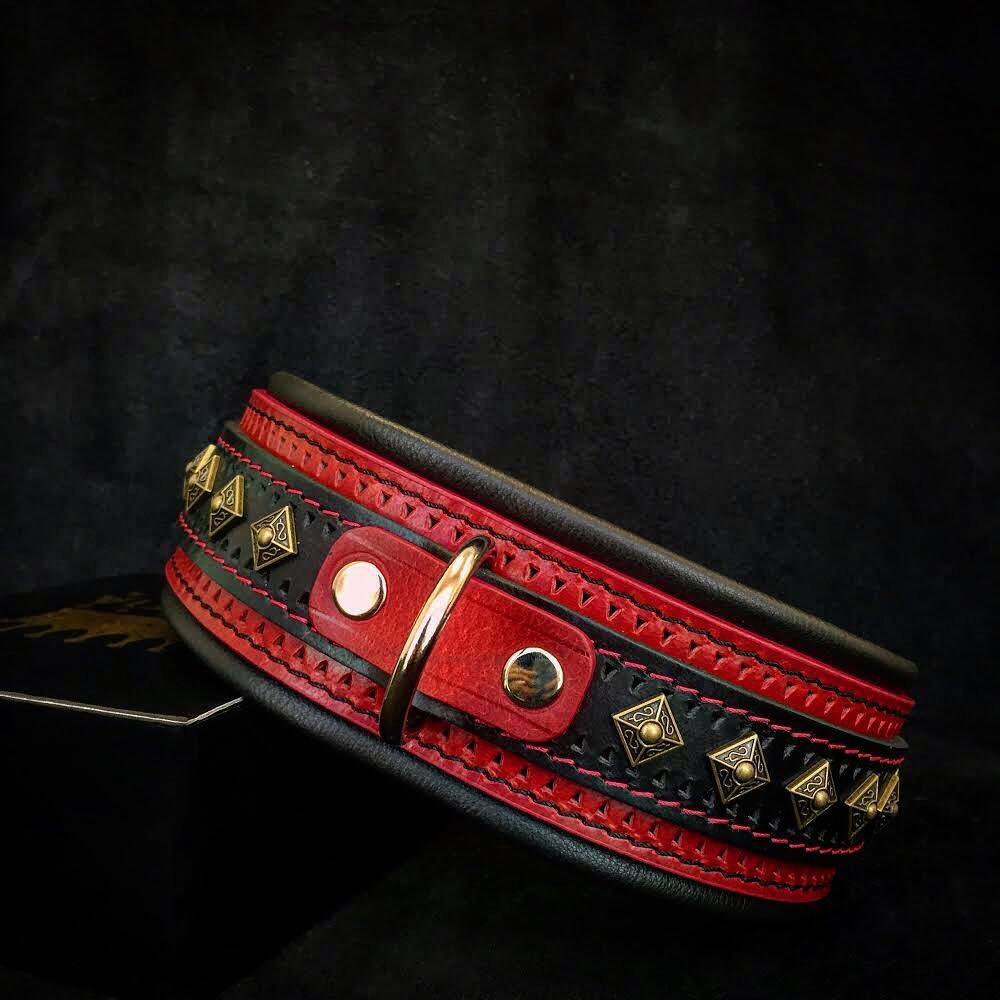 Premium Pet Guardian Gear: The "Balteus" red collar - Sanctum Paws and Fangs