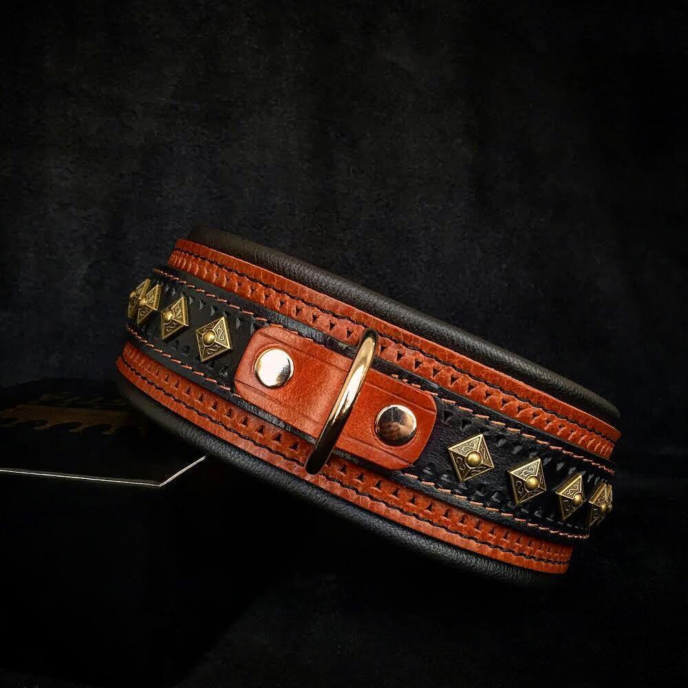 Premium Pet Guardian Gear: The "Balteus" brown collar - Sanctum Paws and Fangs
