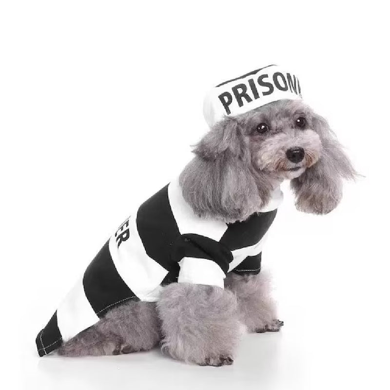 Unleash Your Pet's Inner Rebel with This Adorable Prisoner Costume! 🐾🚔