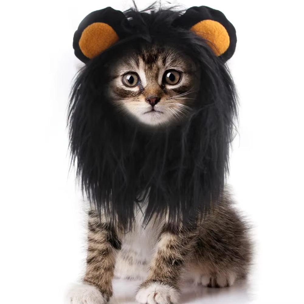Transform your pup into a roaring lion this Halloween with our adorable lion headgear costume! Perfect for small dogs and even cats! 🦁🎃 #PetCostume #HalloweenFun